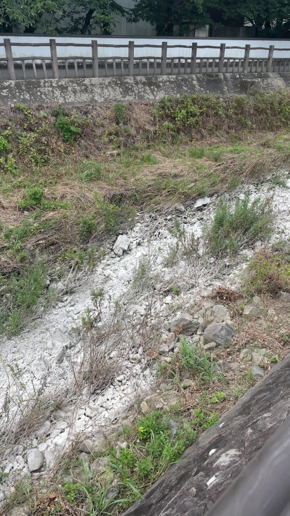 The river next to Shouin Shrine is covered with white powder, but what is it?